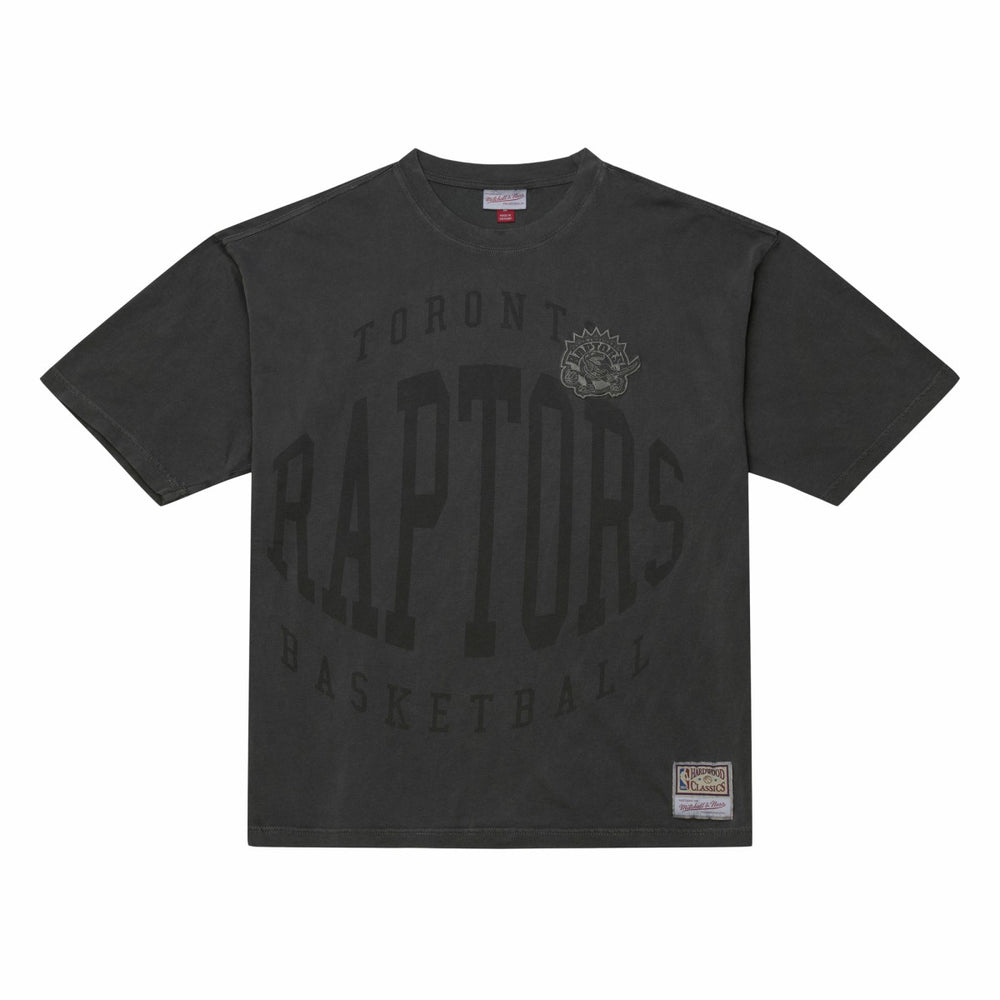 Toronto Raptors Downtown Collection Premium T-Shirt Online