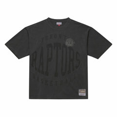 Toronto Raptors Downtown Collection Premium T-Shirt Online