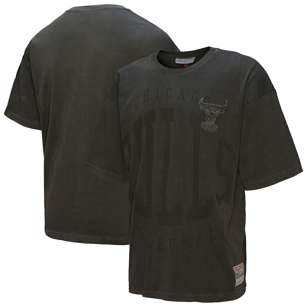 Chicago Bulls Downtown Collection Premium T-Shirt Discount