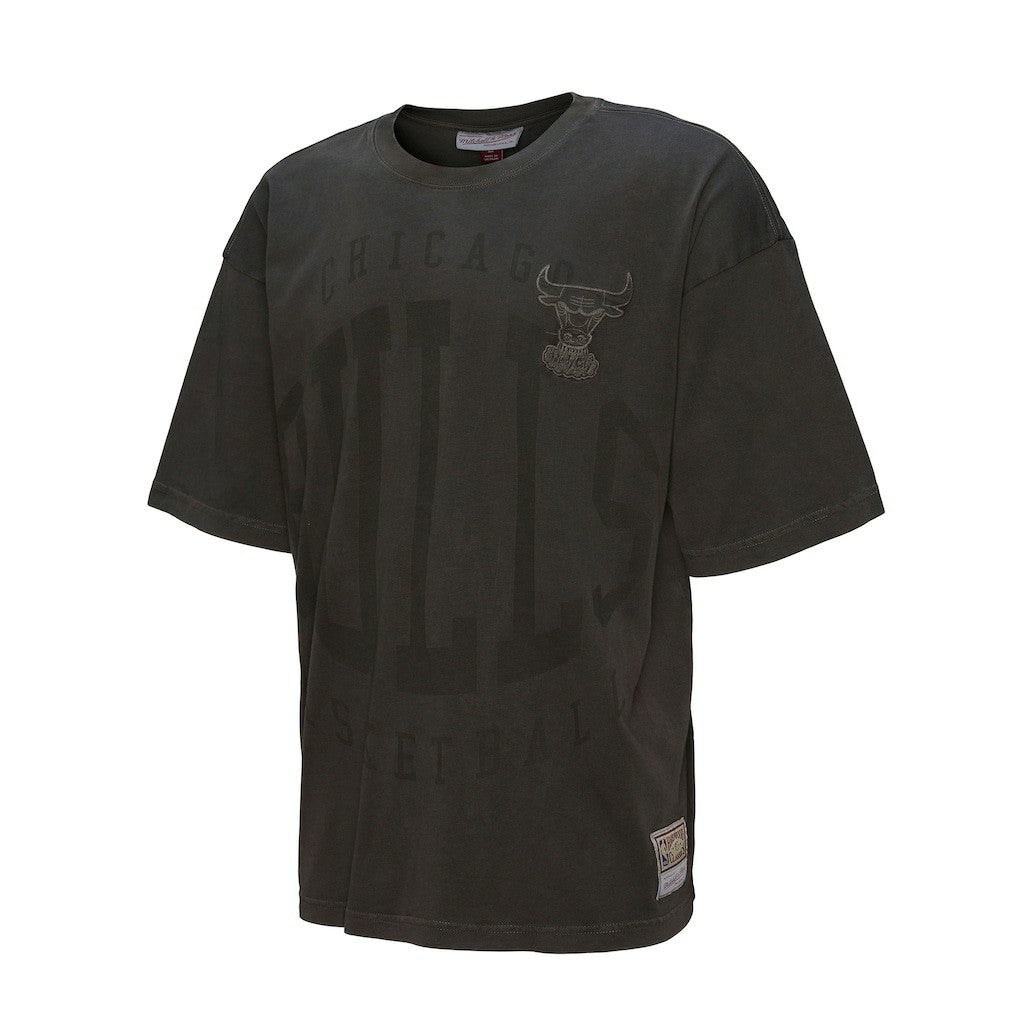 Chicago Bulls Downtown Collection Premium T-Shirt Discount