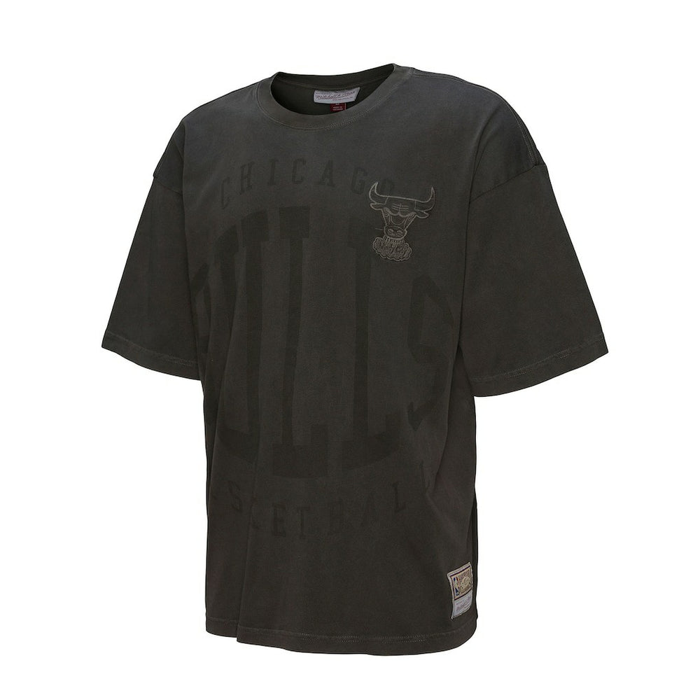 Chicago Bulls Downtown Collection Premium T-Shirt Discount