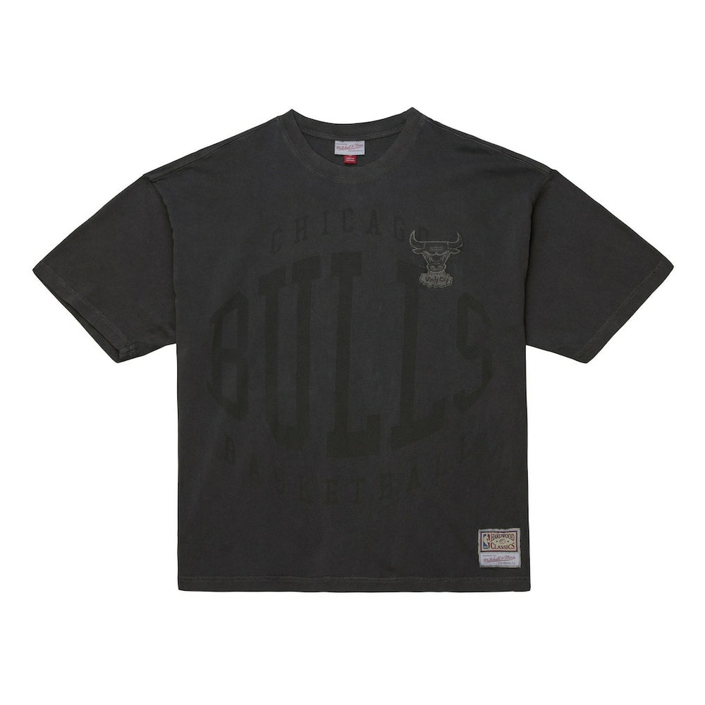 Chicago Bulls Downtown Collection Premium T-Shirt Discount