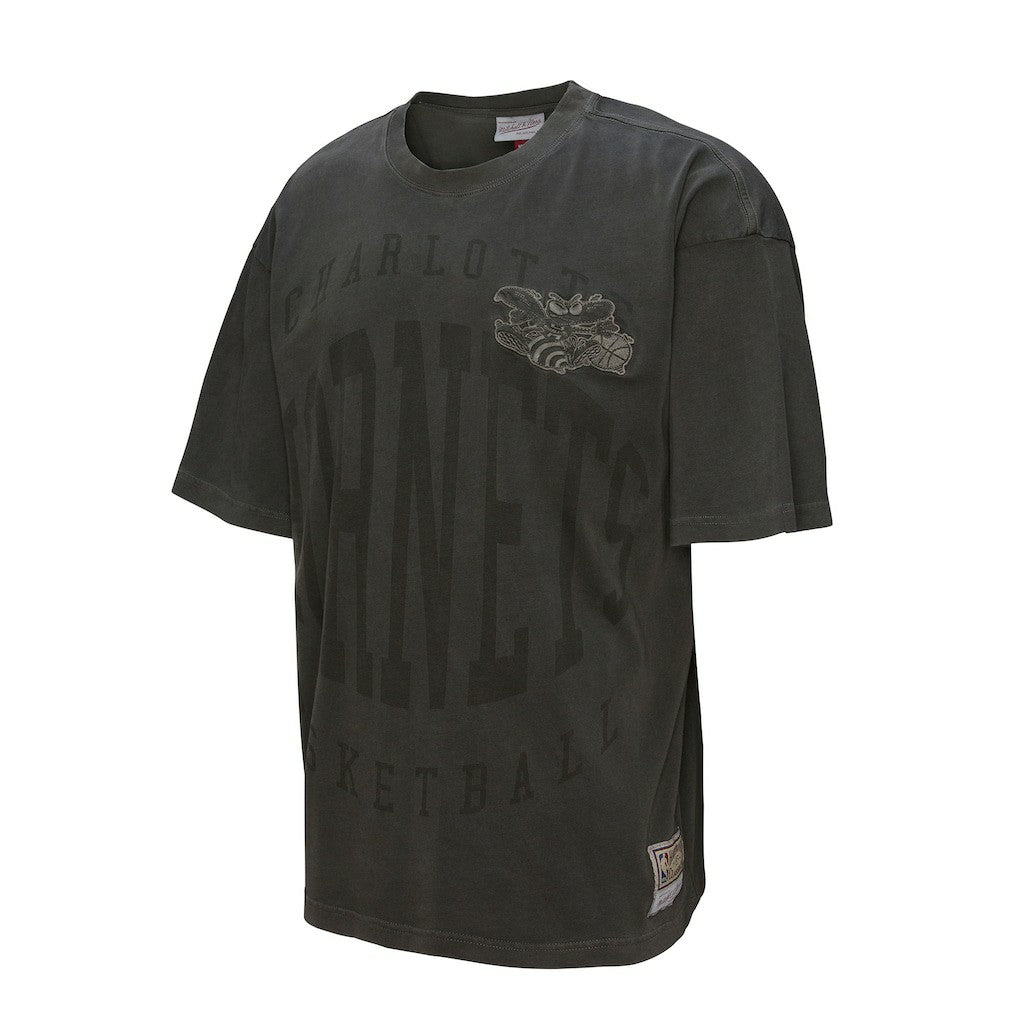 Charlotte Hornets Downtown Collection Premium T-Shirt For Sale