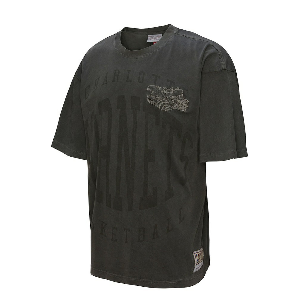 Charlotte Hornets Downtown Collection Premium T-Shirt For Sale