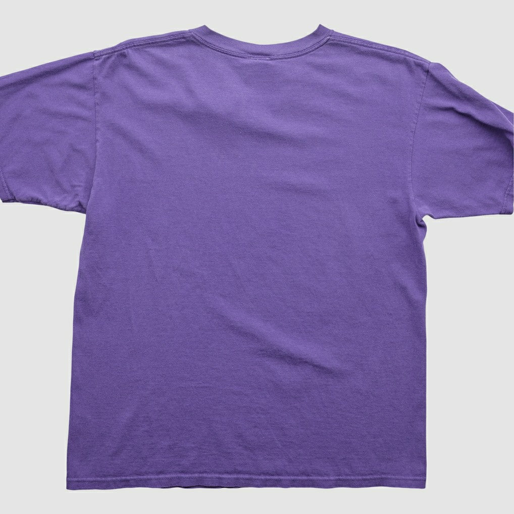Minnesota Vikings Fanatics NFL 2000s T-Shirt