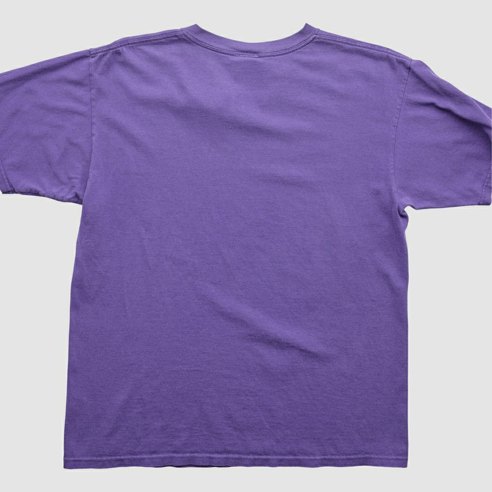 Minnesota Vikings Fanatics NFL 2000s T-Shirt