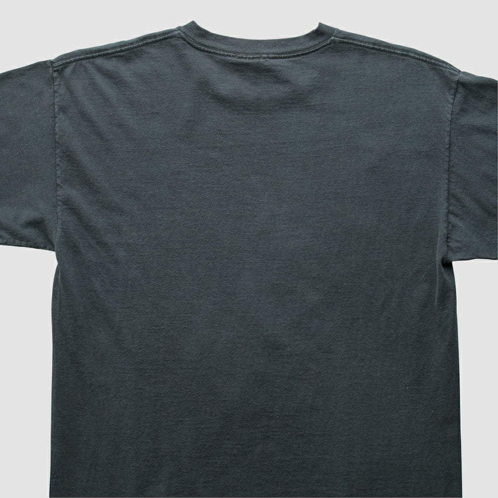 Pittsburgh Steelers Fanatics NFL 2000s T-Shirt