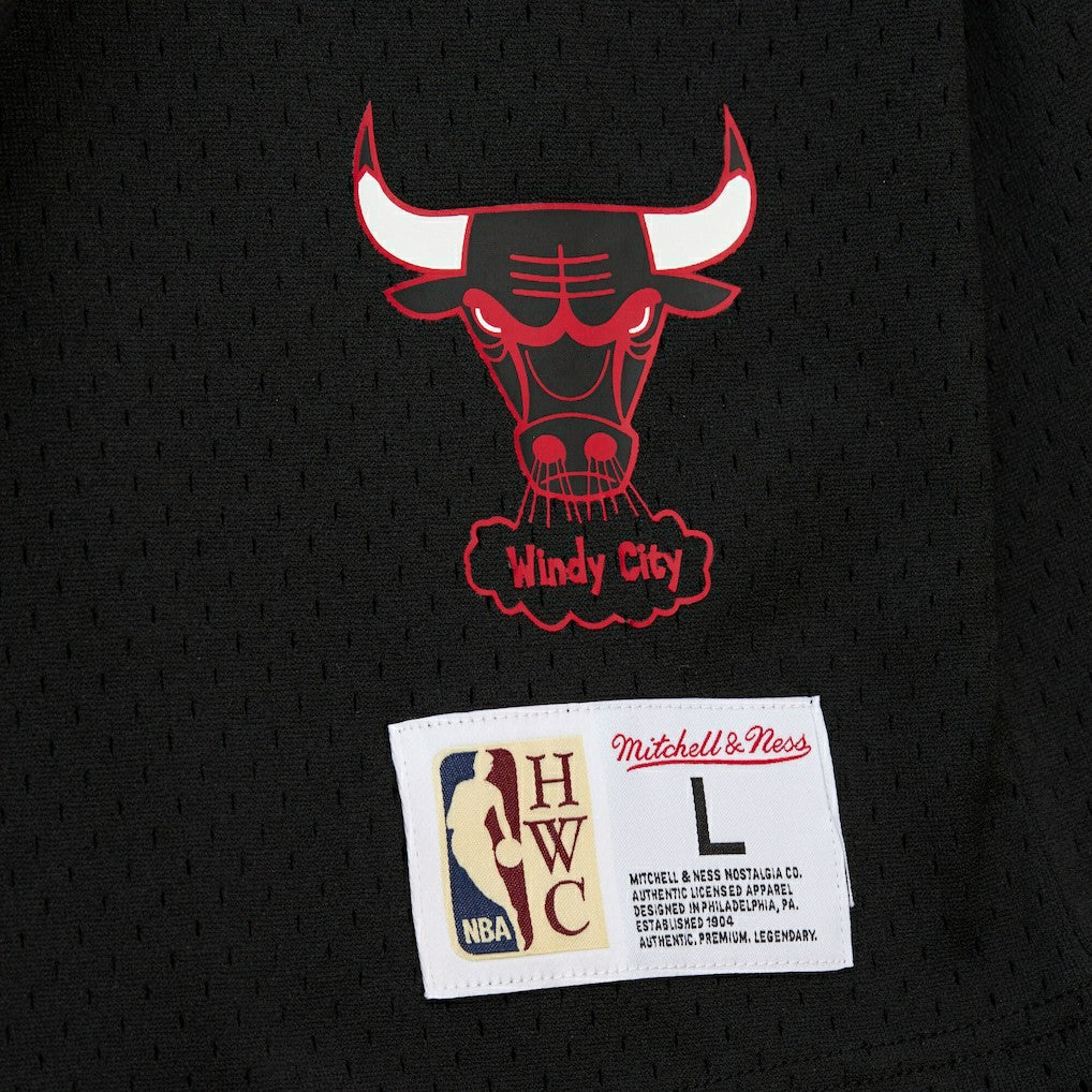 Dennis Rodman Chicago Bulls Mesh Name & Number Short Sleeve Hoodie sale Online