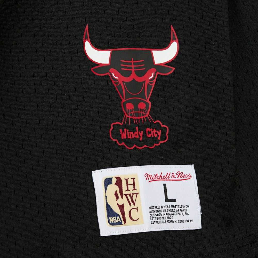 Dennis Rodman Chicago Bulls Mesh Name & Number Short Sleeve Hoodie sale Online