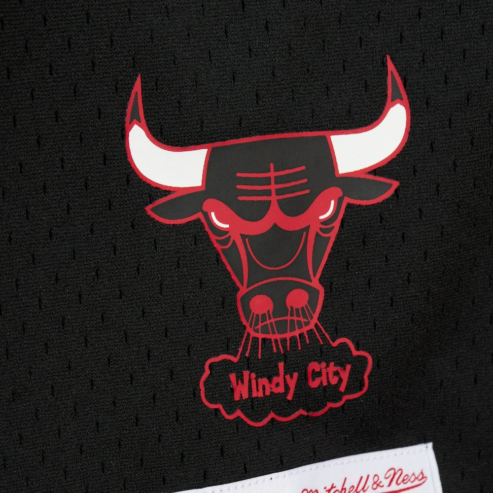 Dennis Rodman Chicago Bulls Mesh Name & Number Short Sleeve Hoodie sale Online