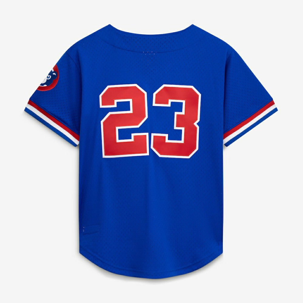 Ryne Sandberg Chicago Cubs Mitchell & Ness Cooperstown Collection 1996 Mesh Batting Practice Button-Up Jersey | MLB Near me