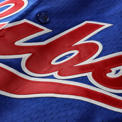 Ryne Sandberg Chicago Cubs Mitchell & Ness Cooperstown Collection 1996 Mesh Batting Practice Button-Up Jersey | MLB Near me