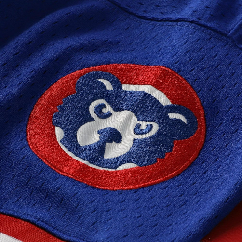 Ryne Sandberg Chicago Cubs Mitchell & Ness Cooperstown Collection 1996 Mesh Batting Practice Button-Up Jersey | MLB Near me