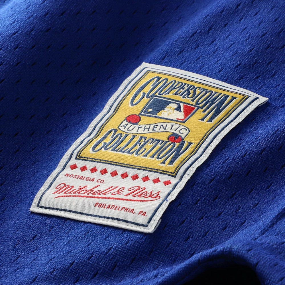 Ryne Sandberg Chicago Cubs Mitchell & Ness Cooperstown Collection 1996 Mesh Batting Practice Button-Up Jersey | MLB Near me