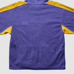 Minnesota Vikings Fanatics NFL 2000s Hooded Pullover Sweatshirt