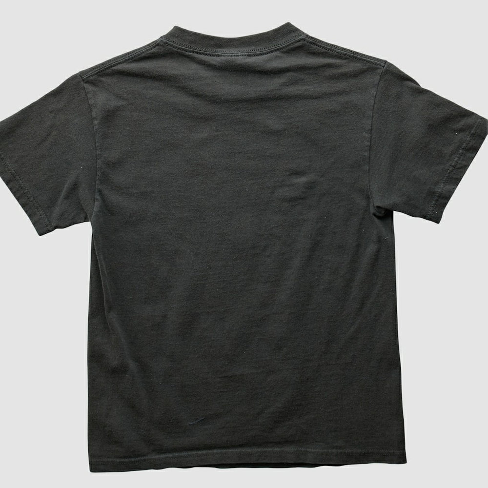 Pittsburgh Steelers Fanatics 2000s T-shirt