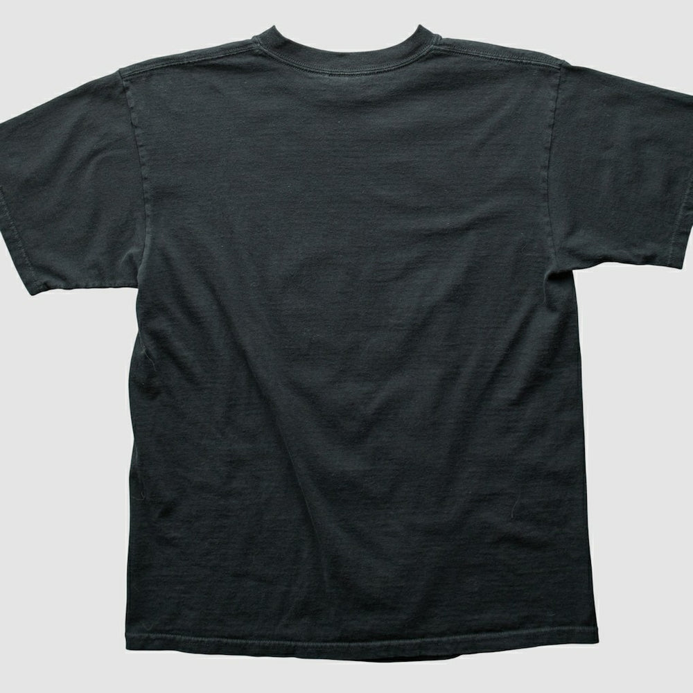 Pittsburgh Steelers Fanatics 2000s T-shirt