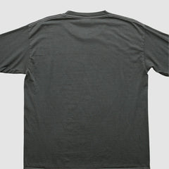 Pittsburgh Steelers Fanatics NFL 2000s Long Sleeve T-shirt