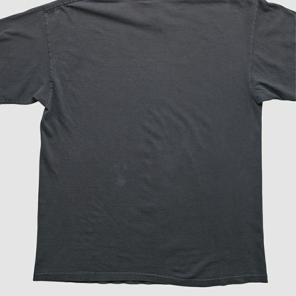 Pittsburgh Steelers Fanatics NFL 2000s T-shirt