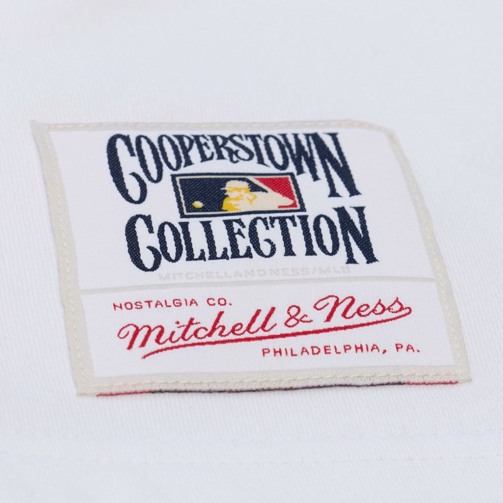 San Francisco Giants Mitchell & Ness Cooperstown Collection Arctic T-Shirt | MLB Sale