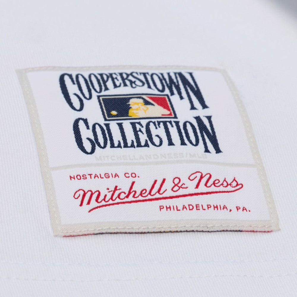 Chicago Cubs Mitchell & Ness Cooperstown Collection Arctic T-Shirt | MLB Shop