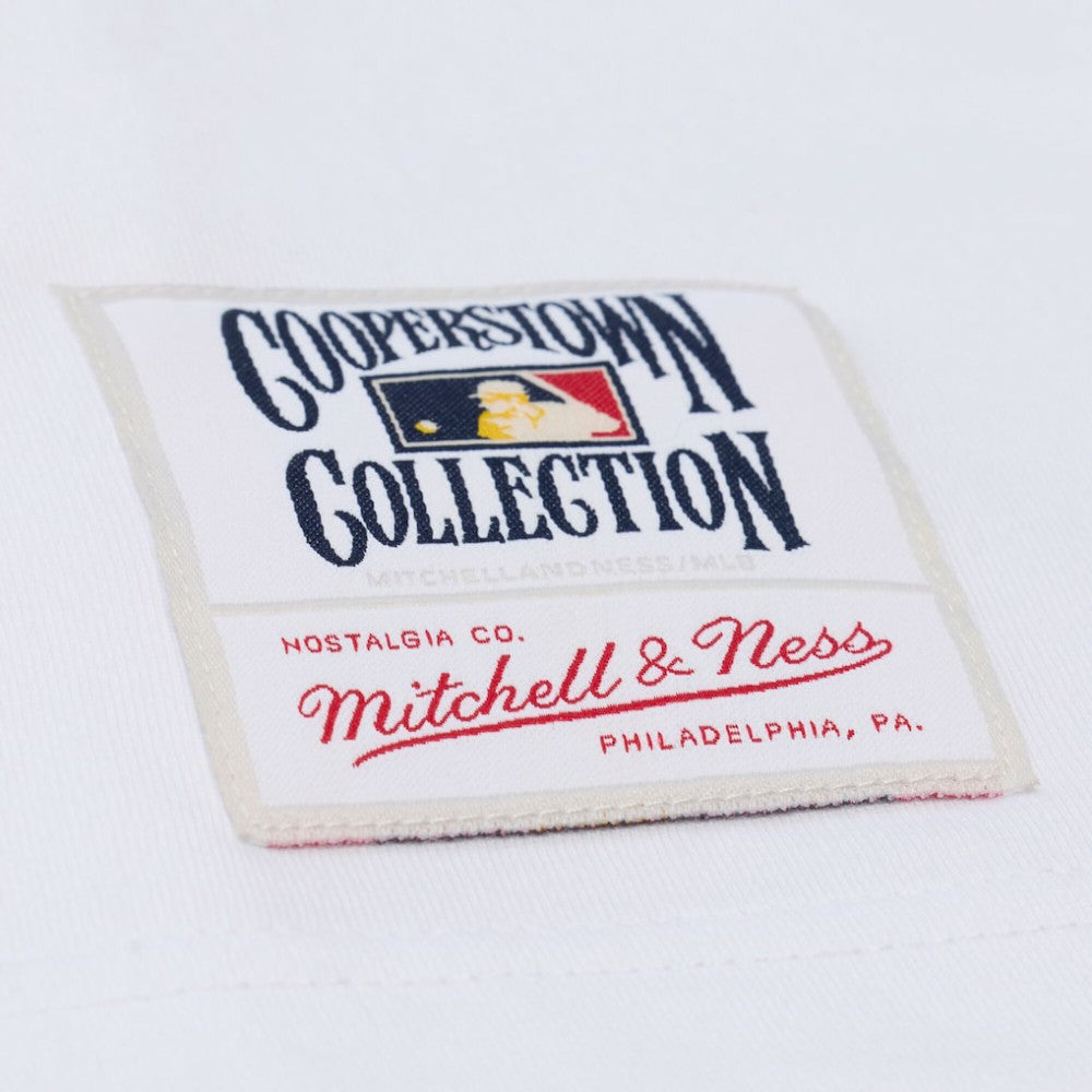 Los Angeles Dodgers Mitchell & Ness Cooperstown Collection Arctic T-Shirt | MLB Discount