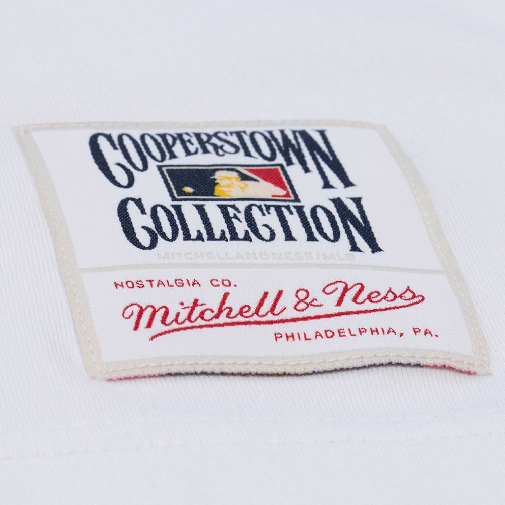 Atlanta Braves Mitchell & Ness Cooperstown Collection Arctic T-Shirt | MLB On Sale