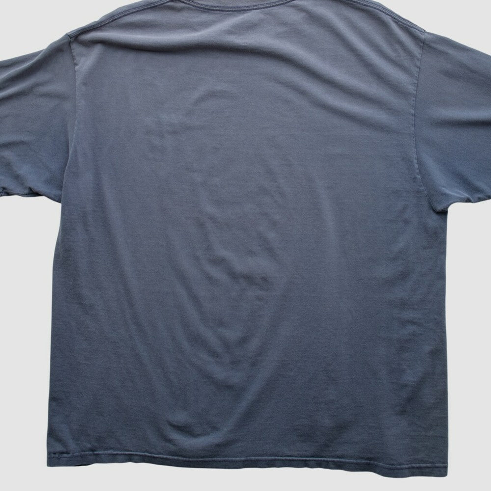 Tampa Bay Rays MLB Genuine Merchandise 2000s T-shirt | MLB Near me