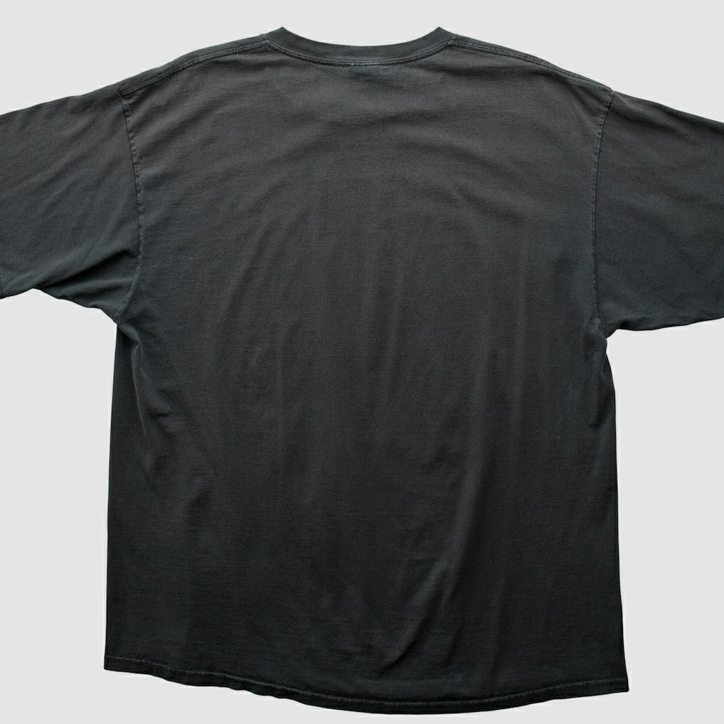Pittsburgh Steelers Fanatics NFL 2000s T-shirt