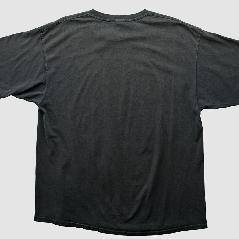 Pittsburgh Steelers Fanatics NFL 2000s T-shirt