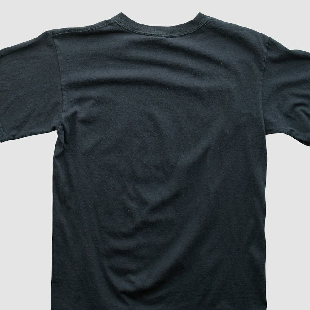 Pittsburgh Steelers Fanatics Anvil 2009 T-shirt