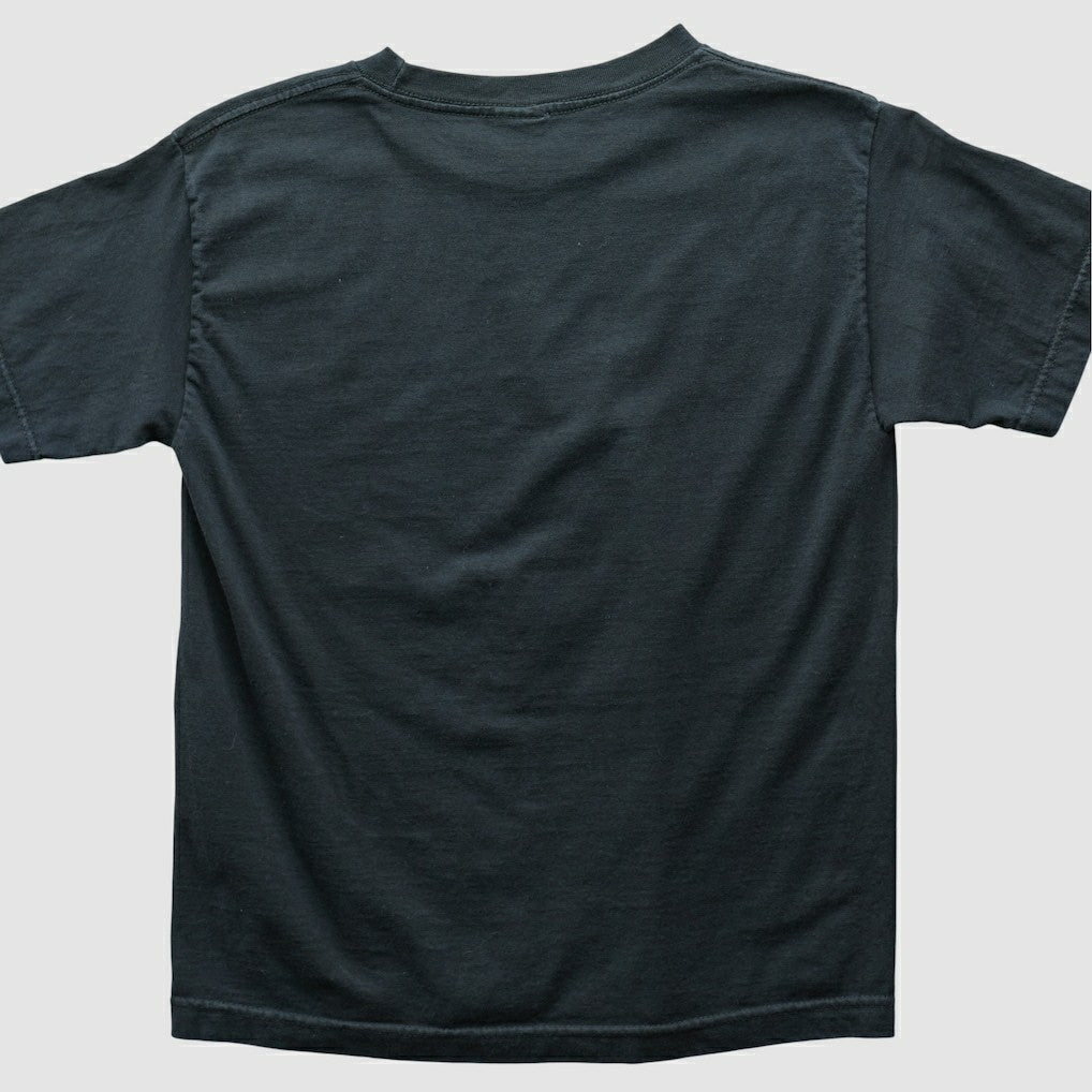 Philadelphia Eagles Fanatics Alstyle 2004 T-shirt