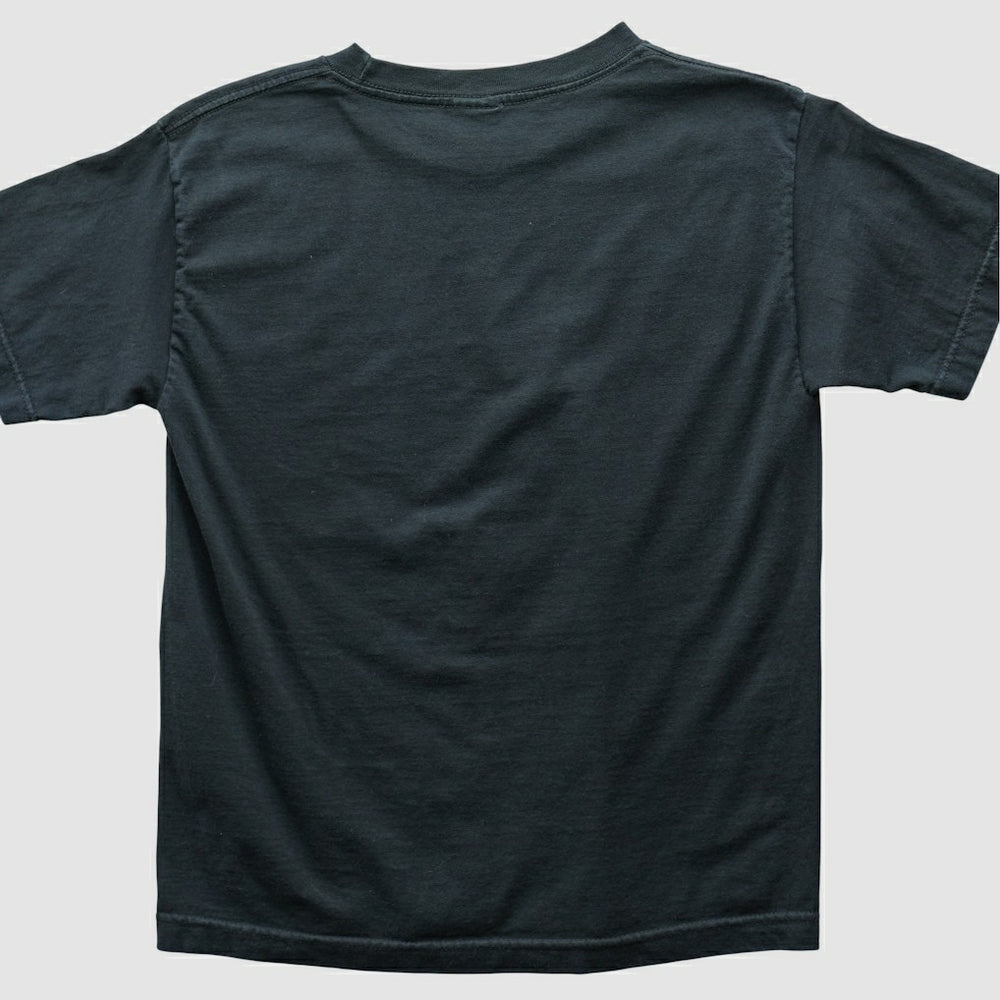 Philadelphia Eagles Fanatics Alstyle 2004 T-shirt