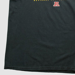 Pittsburgh Steelers Fanatics NFL 2000s Long Sleeve T-shirt