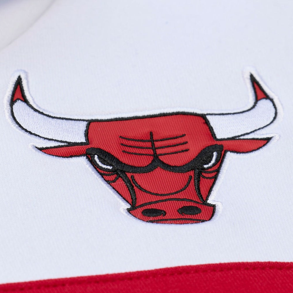Chicago Bulls Head Coach Hoodie Discount