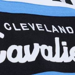 Cleveland Cavaliers Head Coach Hoodie sale New