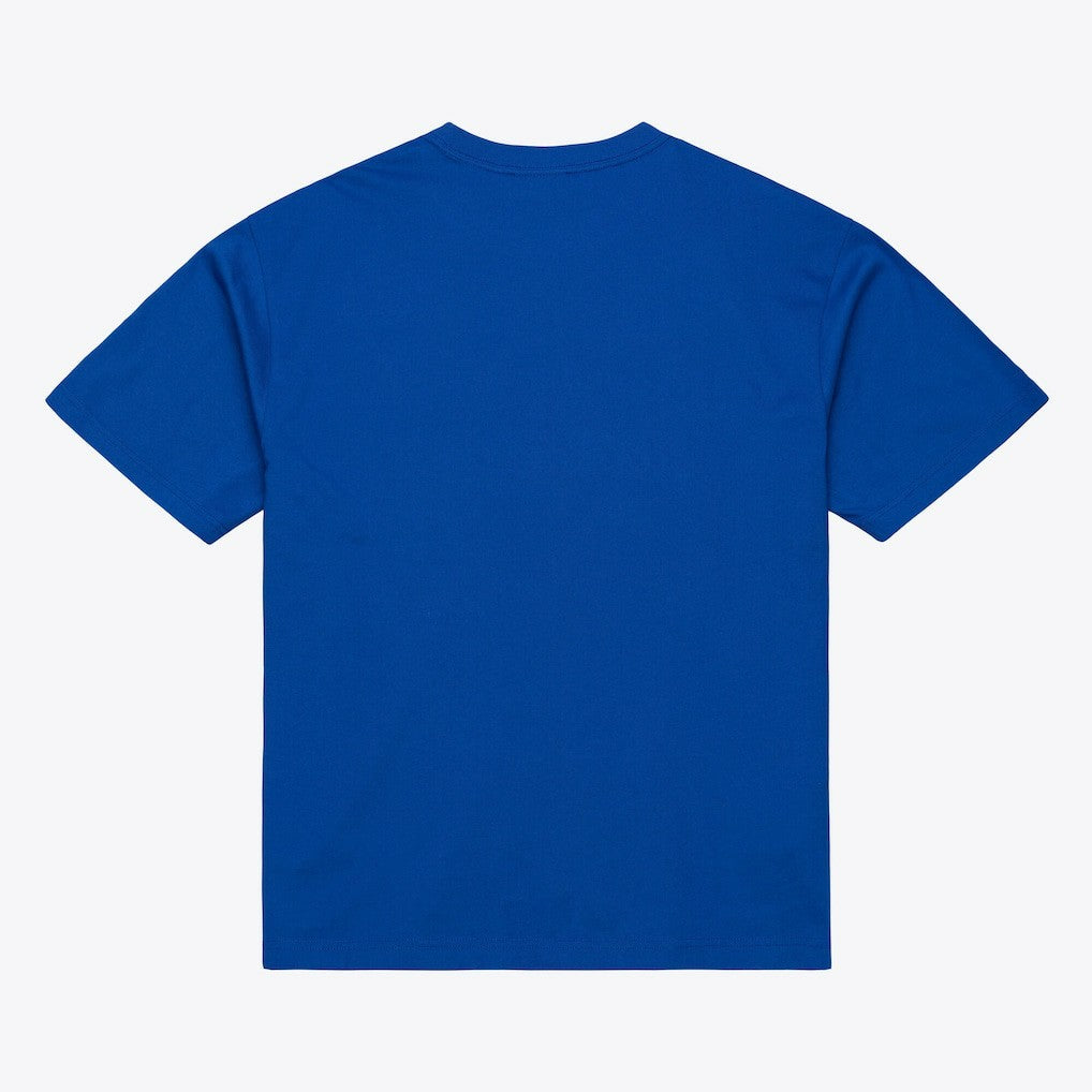 New York Knicks Head Coach T-Shirt On Sale