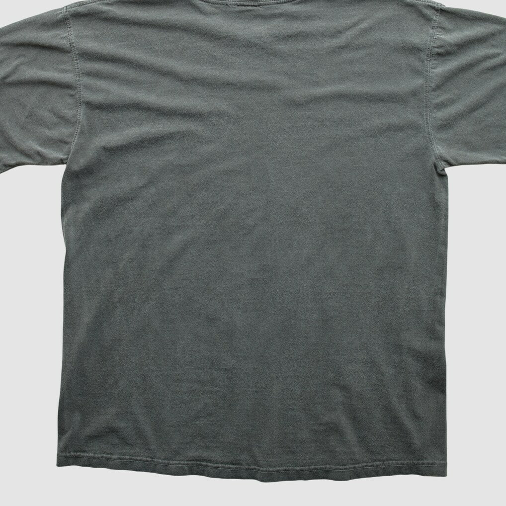 Cleveland Browns Fanatics NFL Pro Line 2010s T-shirt
