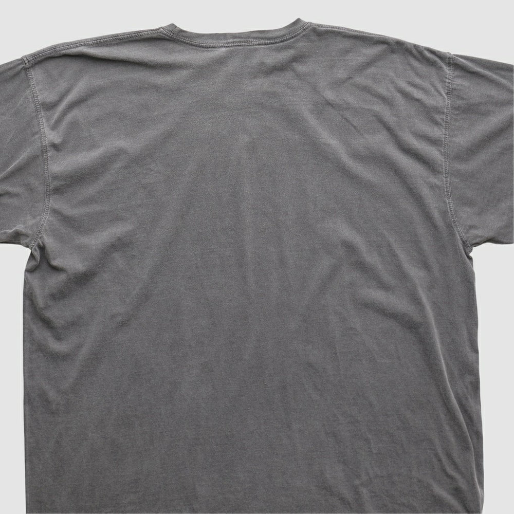 Cleveland Browns Fanatics NFL 2010s T-shirt