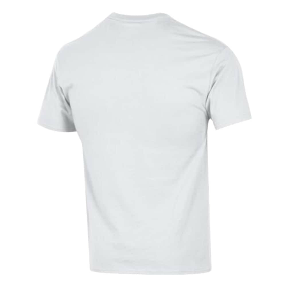Miami Dolphins Champion Arch Over Logo T-Shirt