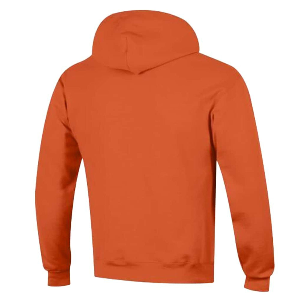 Miami Dolphins Champion Powerblend Arch over Logo Hoodie