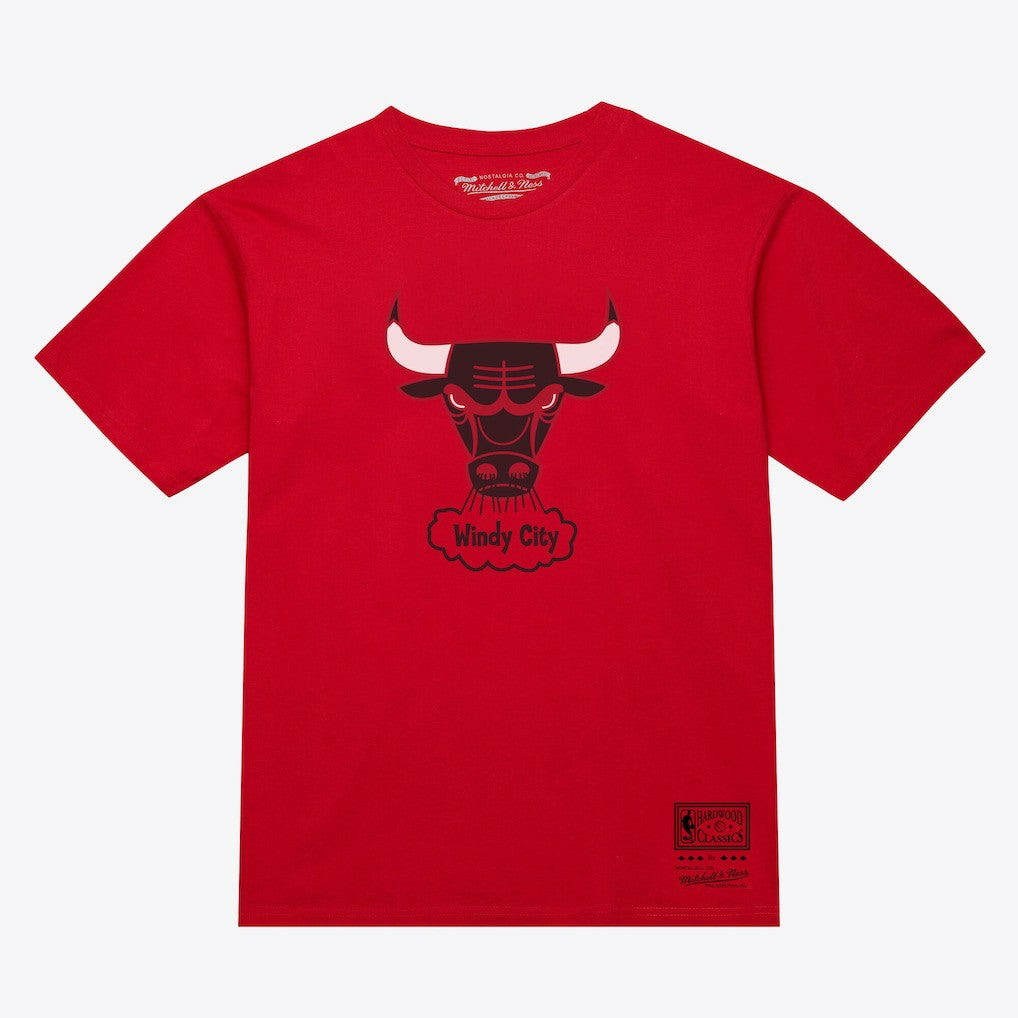 Chicago Bulls Unisex Hardwood Classics Arch T-Shirt sale For Sale