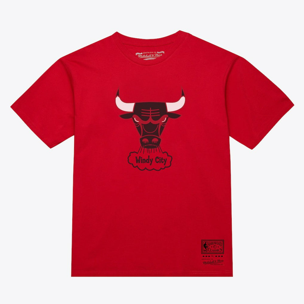 Chicago Bulls Unisex Hardwood Classics Arch T-Shirt sale For Sale