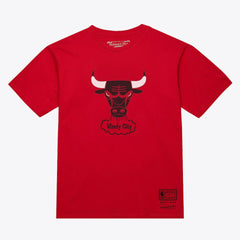 Chicago Bulls Unisex Hardwood Classics Arch T-Shirt sale For Sale