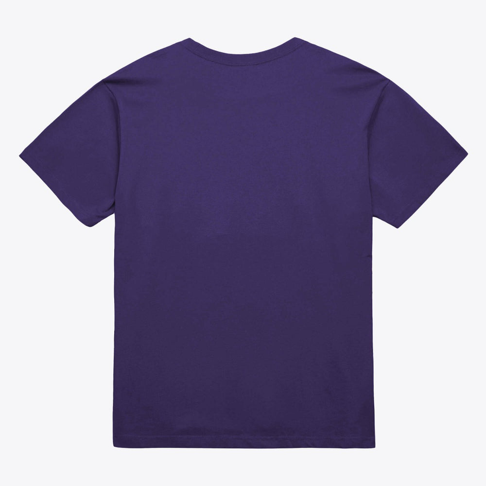 Phoenix Suns Unisex Hardwood Classics Arch T-Shirt On Sale