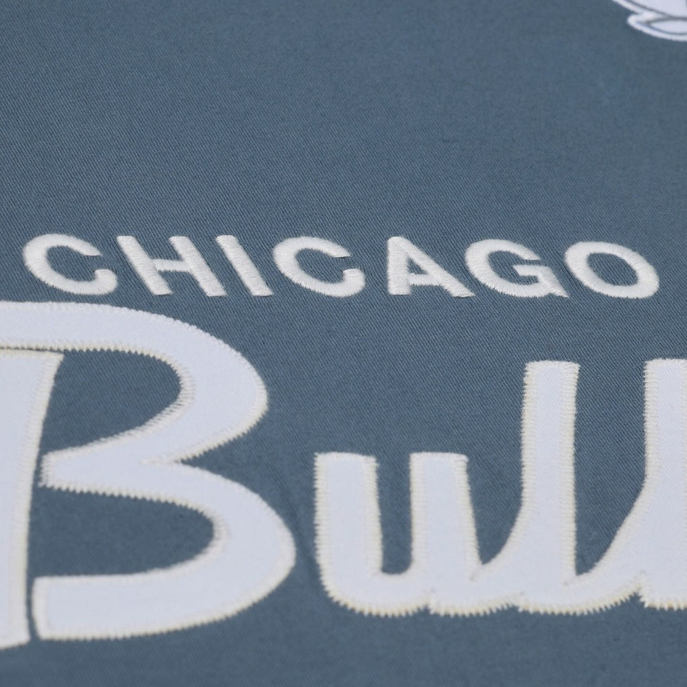 Chicago Bulls Thunderstorm T-Shirt sale New