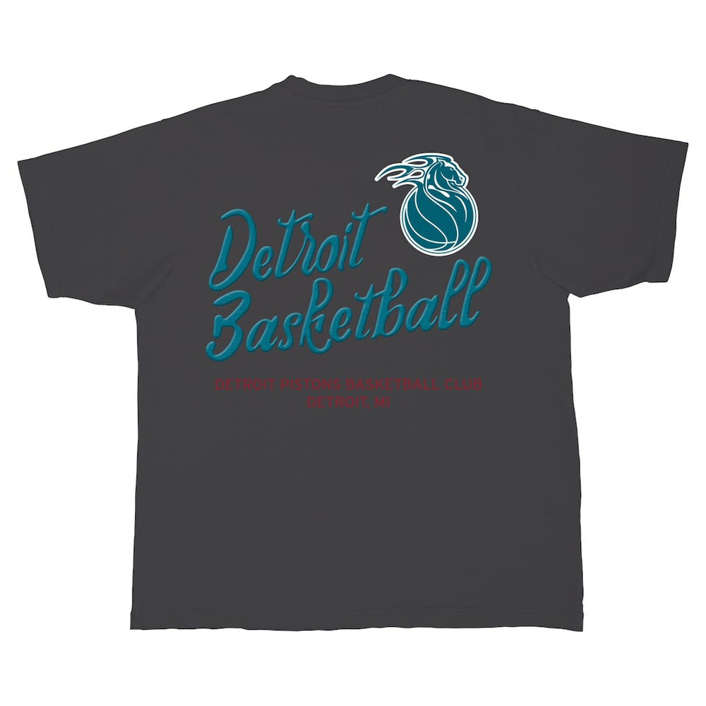 Detroit Pistons Stadium Essentials Unisex Local Barfly Urban T-Shirt sale New