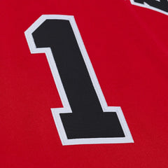 Derrick Rose Chicago Bulls 2008-09 Authentic Jersey sale Outlet