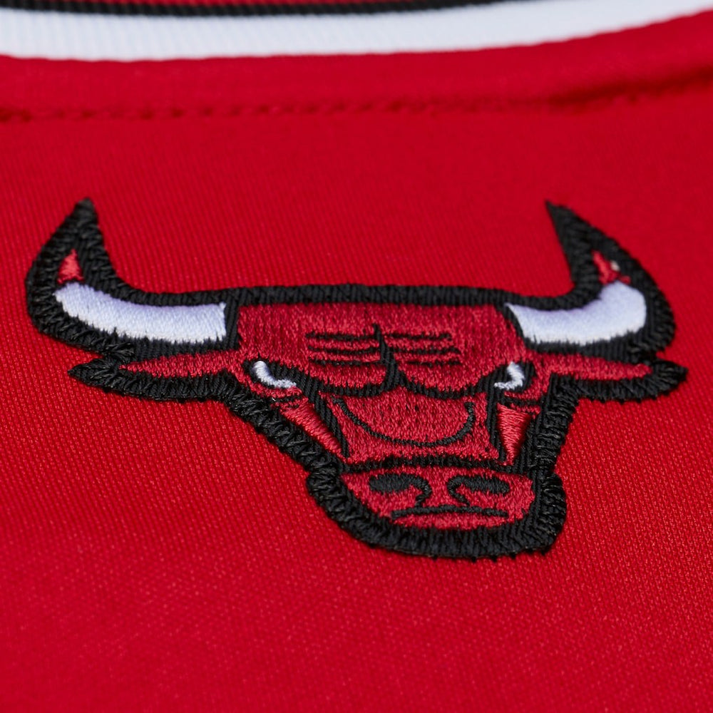 Derrick Rose Chicago Bulls 2008-09 Authentic Jersey sale Outlet