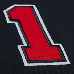 Derrick Rose Chicago Bulls 2010-11 Authentic Jersey sale Discount